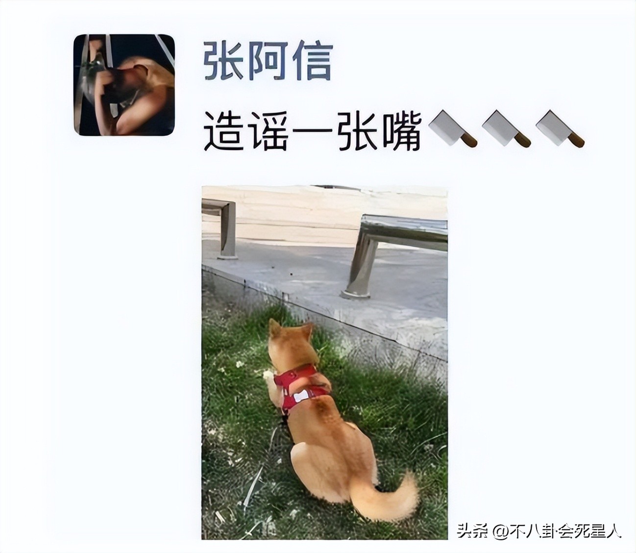 李易峰最高检通报_李易峰嫖娼事件_51吃瓜网李易峰6秒,